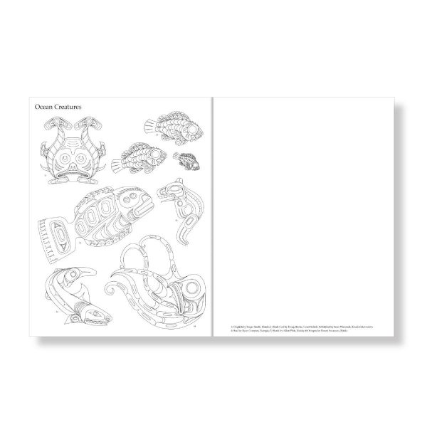 Colouring Book | Colour & Draw: Northwest Coast Native Formline by Various Artists For Cheap