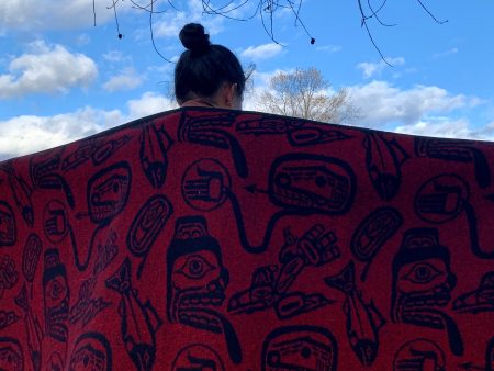 Wool Blanket | Haida Dreamtime by Chief James Hart Discount