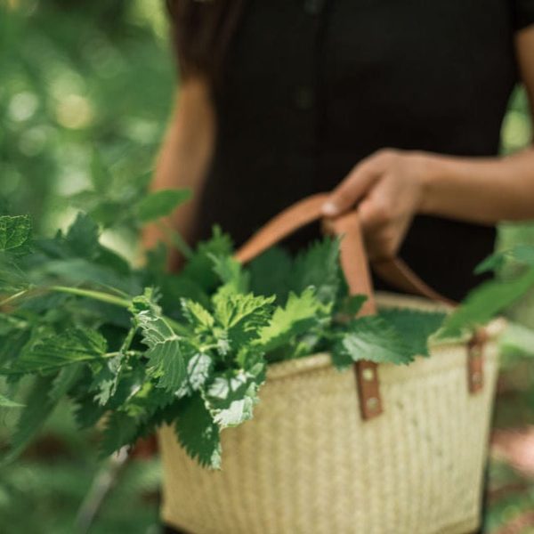 Nékwentsut Rose+Nettle+Mint Tea by Sḵwálwen Botanicals Fashion